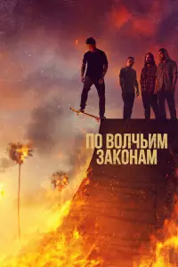 По волчьим законам 